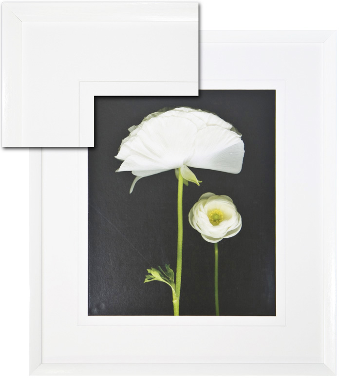 FP019 Wall décor art framed print floral white frame
